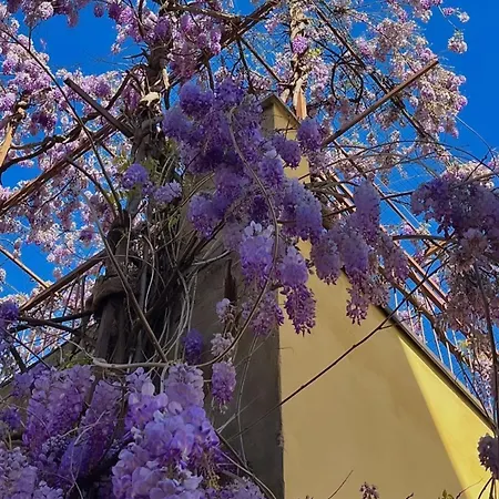 Apartment Casa Mazzini Castiglion Fiorentino